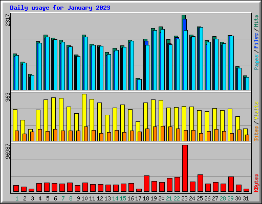 Daily usage for January 2023