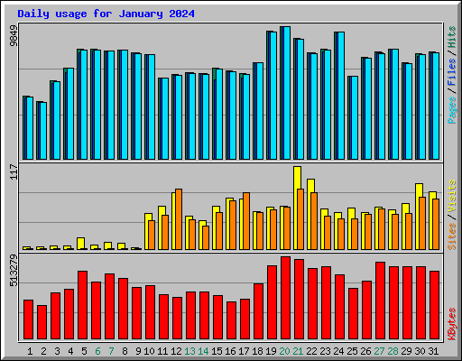 Daily usage for January 2024