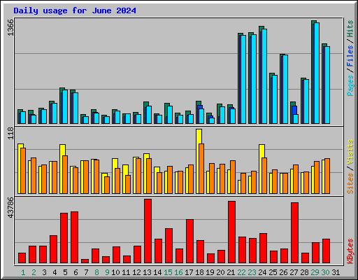 Daily usage for June 2024