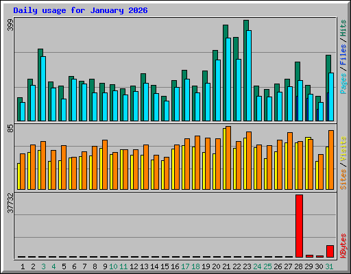 Daily usage for January 2026