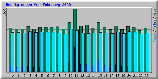 Hourly usage for February 2020