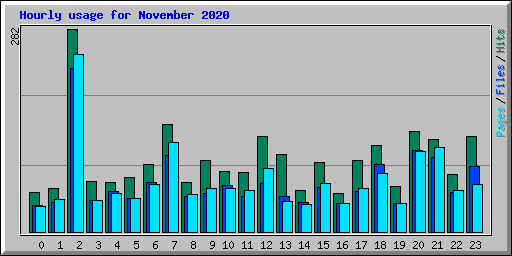 Hourly usage for November 2020