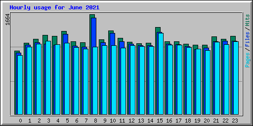 Hourly usage for June 2021
