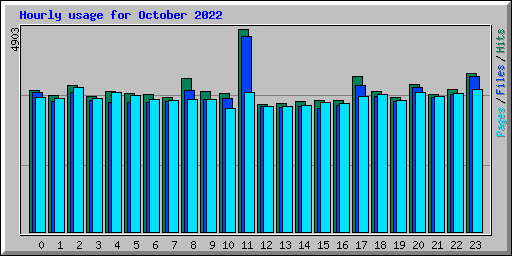 Hourly usage for October 2022