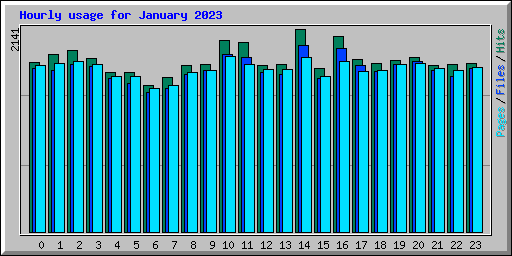 Hourly usage for January 2023
