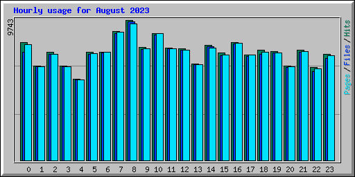 Hourly usage for August 2023