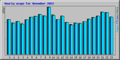 Hourly usage for November 2023