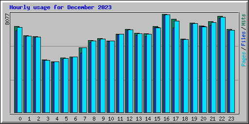 Hourly usage for December 2023