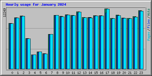 Hourly usage for January 2024