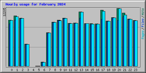 Hourly usage for February 2024
