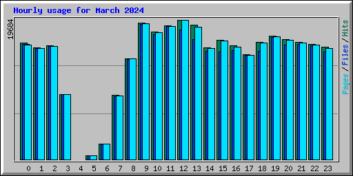 Hourly usage for March 2024