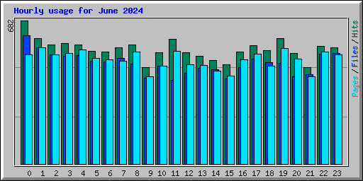 Hourly usage for June 2024