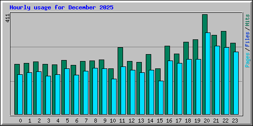 Hourly usage for December 2025
