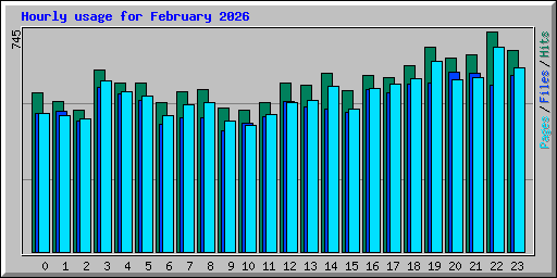 Hourly usage for February 2026
