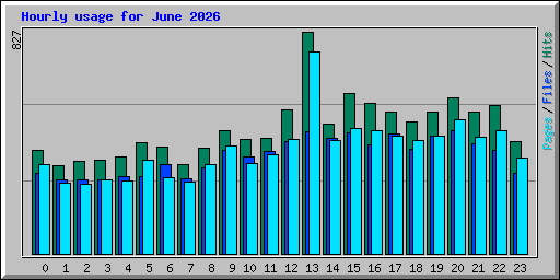 Hourly usage for June 2026