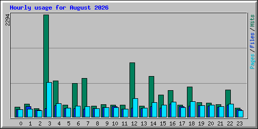 Hourly usage for August 2026